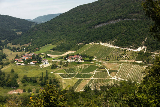 Il Bugey: vini di pendenza, carattere e altitudine