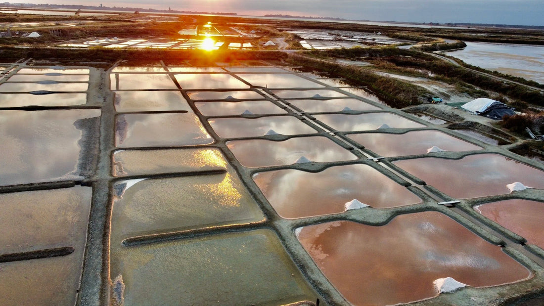Il sel de Guérande: storia, cultura e artigianalità di un ingrediente essenziale